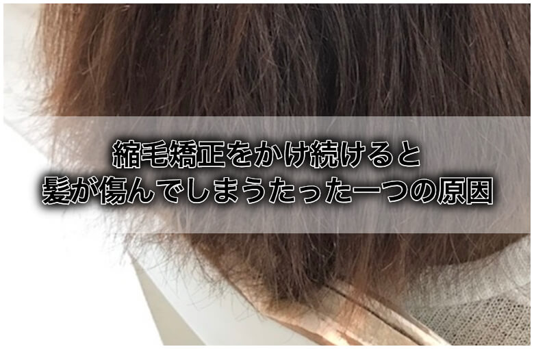 縮毛矯正をかけ続けると髪が傷んでしまうたった一つの原因 くせ毛hack