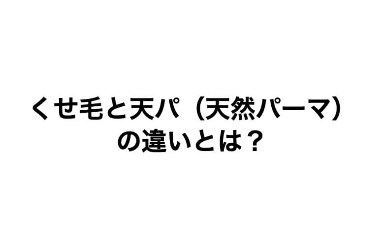 くせ毛と天パ 天然パーマ の違いとは 美容師が解説 くせ毛hack