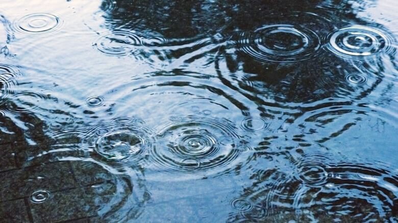 くせ毛梅雨夏湿気